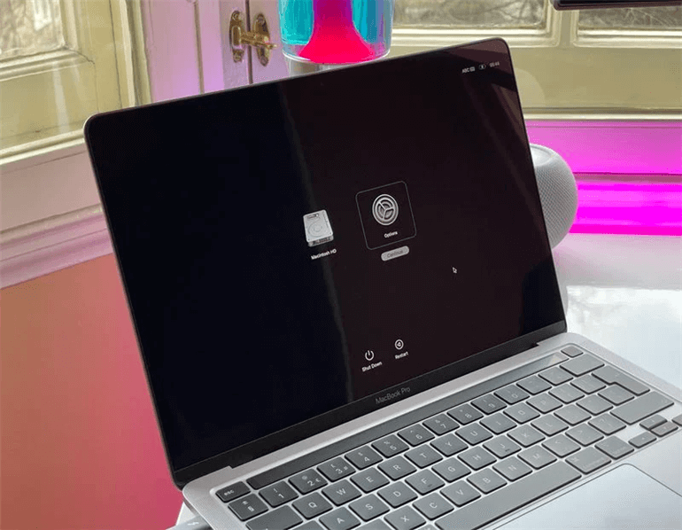 Repair the Startup Disk on Apple Silicon Mac